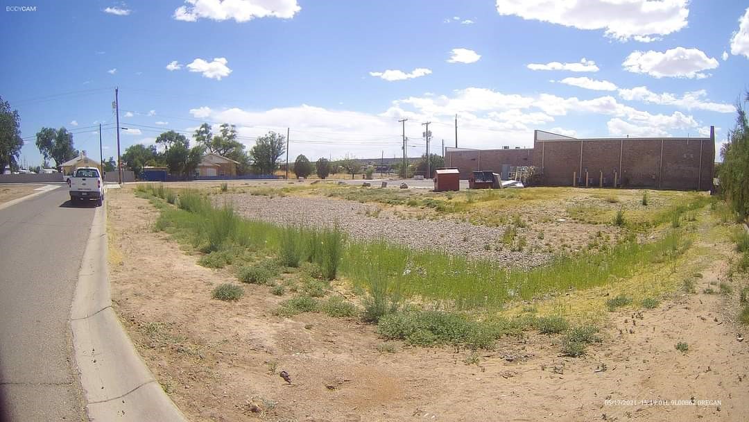 Before lot overrun with weeds