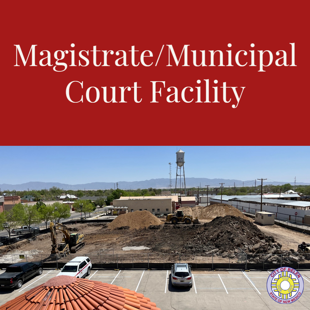 Featured image for “Magistrate/Municipal Court”