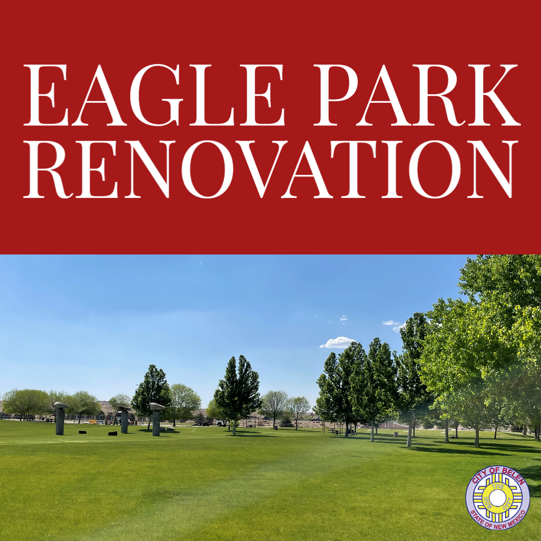 Featured image for “Eagle Park Renovations”
