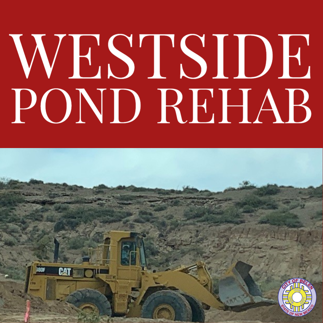 Featured image for “Westside Pond Rehab”