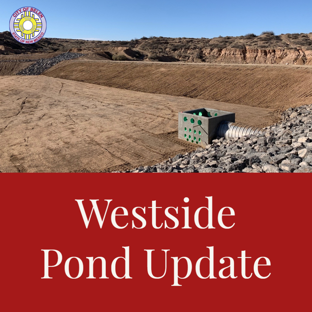 Featured image for “Westside Pond Update”