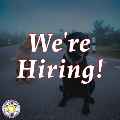 Featured image for “We’re Hiring – Code Enforcement/Animal Control Officer”
