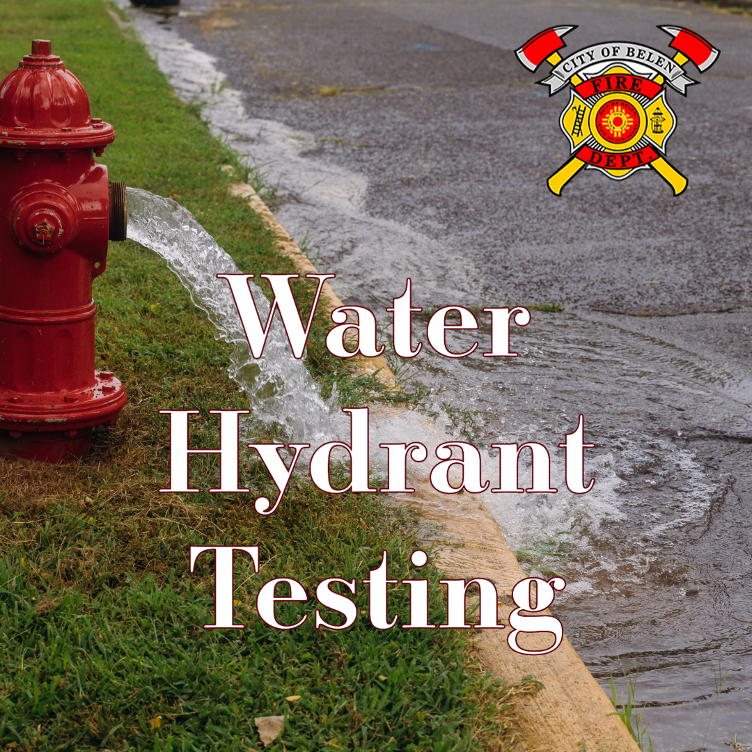 Featured image for “Water Hydrant Testing”
