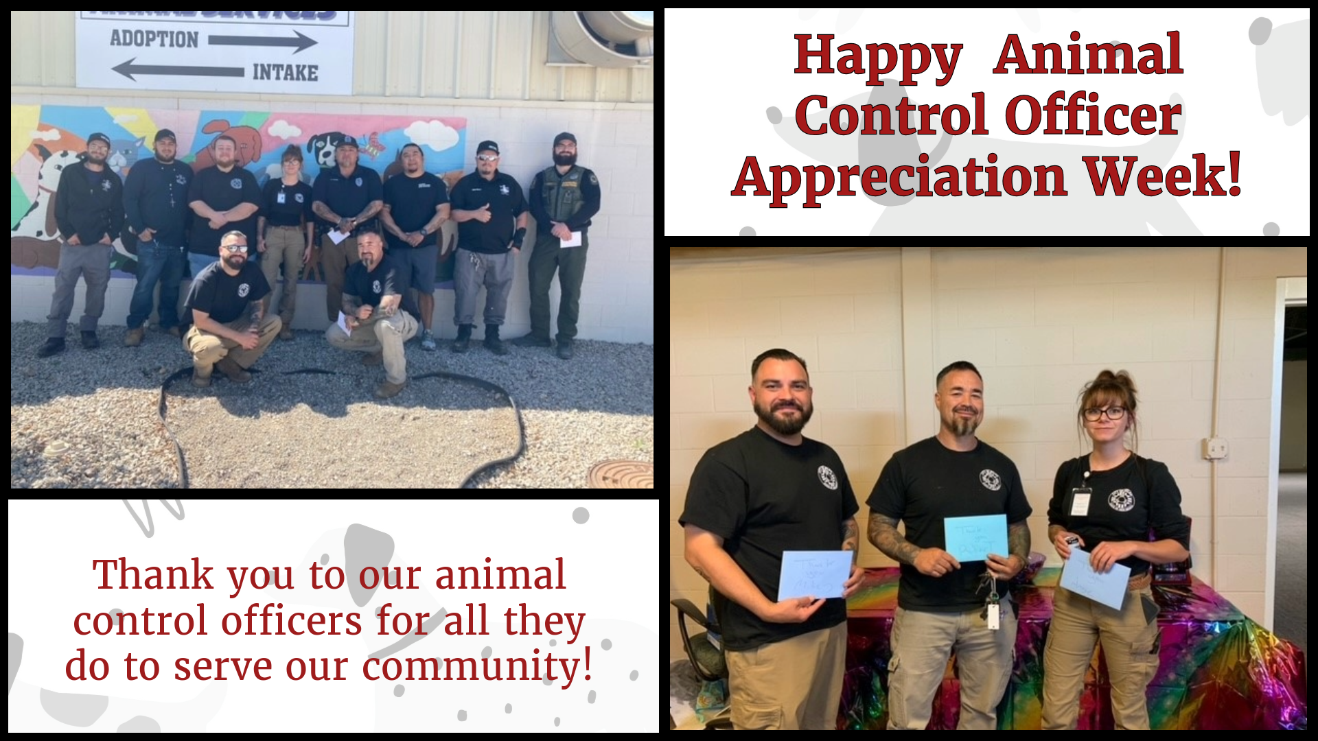Featured image for “Animal Control Officer Appreciation Week”